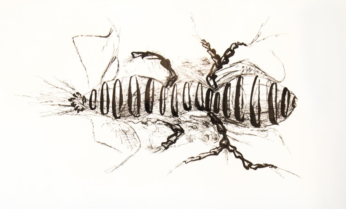 Drawing Zeichnungen IMG_1242.jpg