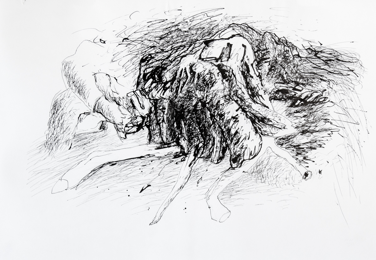 Drawing Zeichnungen IMG_1260.jpg