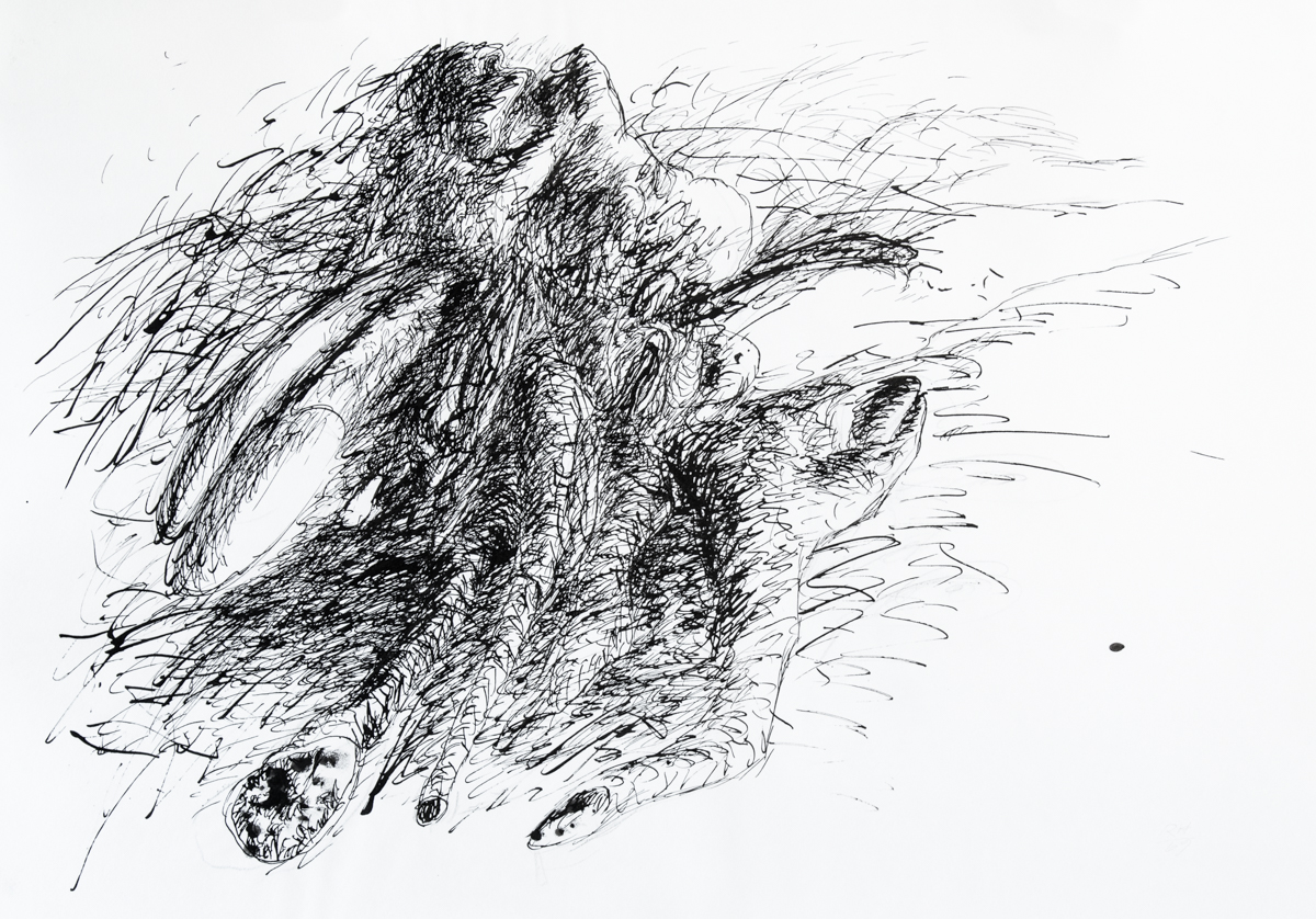 Drawing Zeichnungen IMG_1263.jpg
