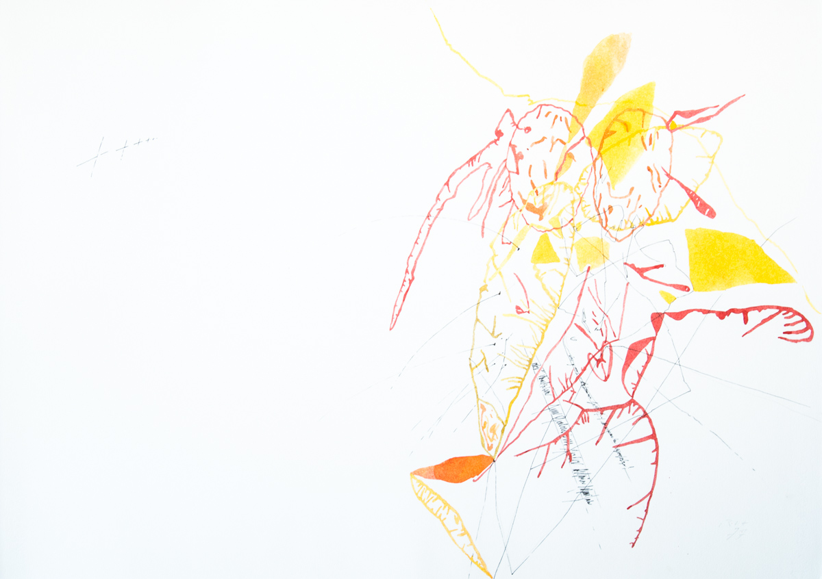 Drawing Zeichnungen IMG_1329.jpg